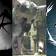 Illustration for article titled Epic Is Going To Publish Games From The Makers Of Control, Limbo, And The Last Guardian